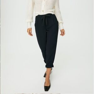 Aritzia Allant Pant